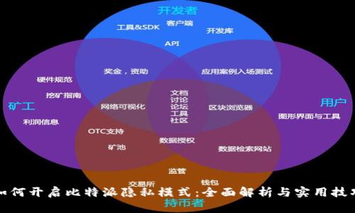 如何开启比特派隐私模式：全面解析与实用技巧
