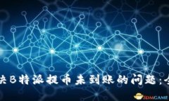 如何解决B特派提币未到账