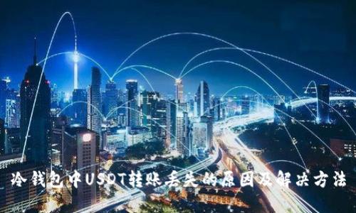 冷钱包中USDT转账丢失的原因及解决方法