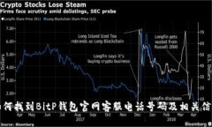 如何找到BitP钱包官网客服