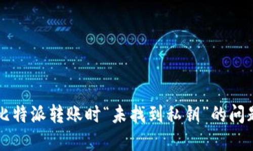 解决比特派转账时“未找到私钥”的问题指南