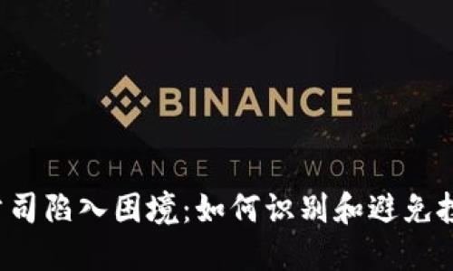 Web3公司陷入困境：如何识别和避免投资骗局