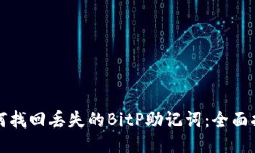 如何找回丢失的BitP助记词：全面指南