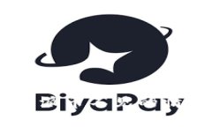 如何应对B特派币不见的情