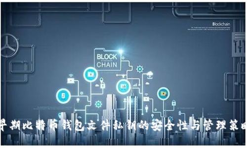 早期比特币钱包文件私钥的安全性与管理策略