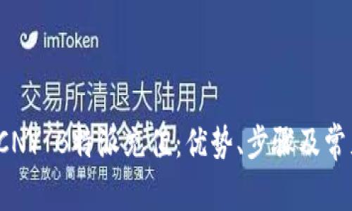 全面解析SCNY B特派充值：优势、步骤及常见问题解答