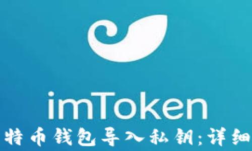 
如何安全地将比特币钱包导入私钥：详细步骤与注意事项